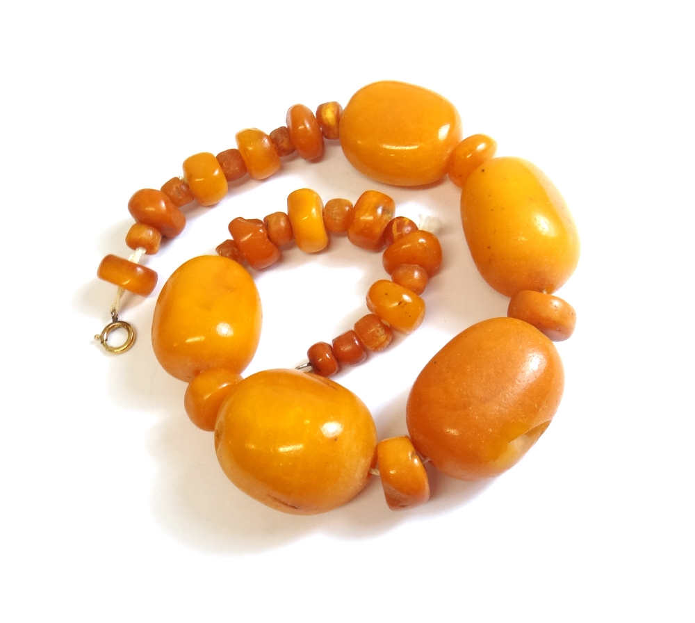 A single row necklace of vary sized amber and reconstituted amber beads,