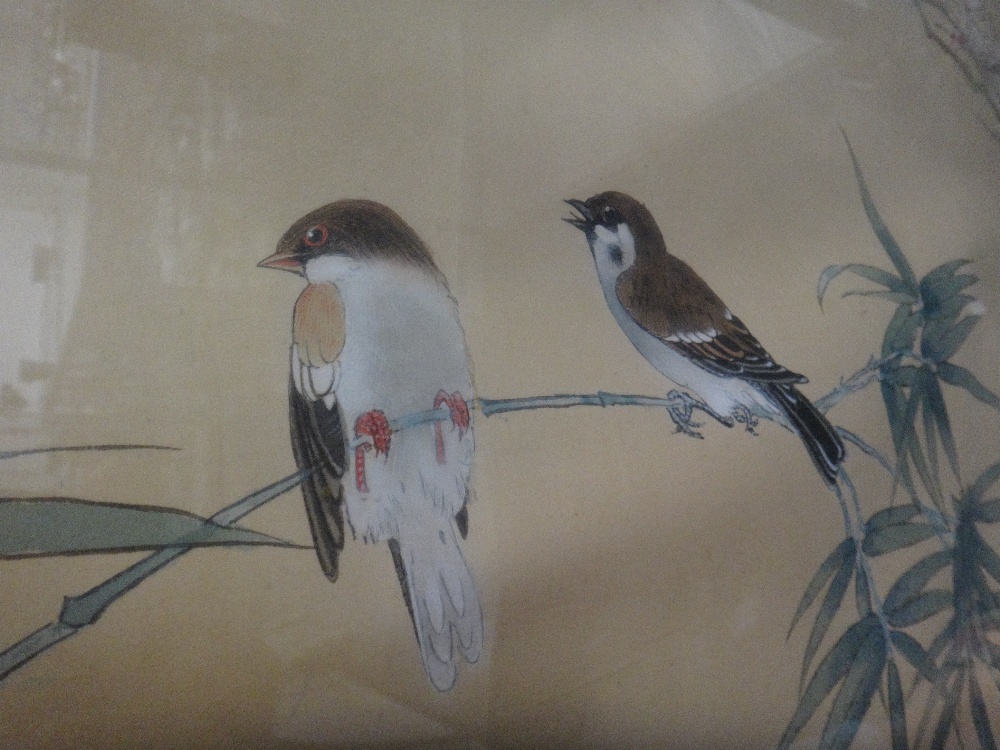 A large Chinese painting on silk, 20th century, painted with birds amongst flowering prunus, - Image 2 of 6