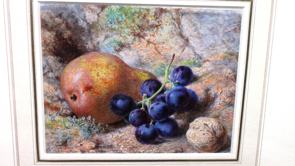 Helen Cordelia Coleman (19th century), Still life with fruit and walnut, watercolour, - Image 2 of 8