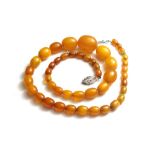 A single row necklace of oval vary coloured semi translucent butterscotch coloured amber beads,