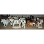 A quantity of 20th century pottery cow creamers (a.f) (18).