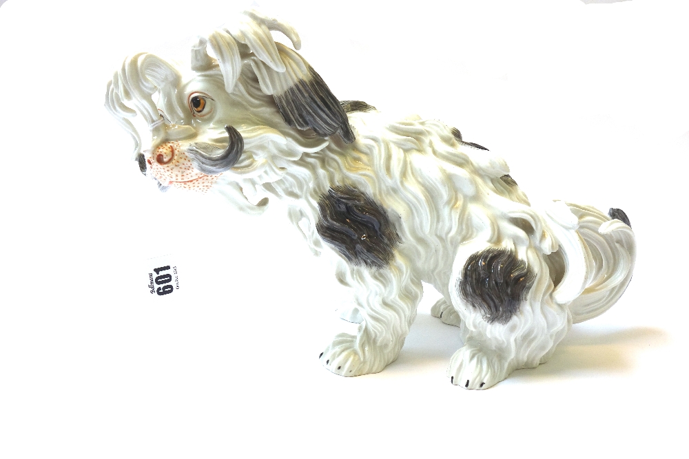 A German porcelain model of a Bolognese hound, early 20th century,