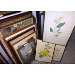 A quantity of assorted pictures and paintings.