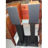 A pair of AVI floor standing speakers.