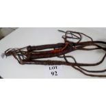 Four possibly 19th century  bull whips e