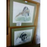 Two framed and glazed limited edition prints depicting hunting dogs retrieving game birds both