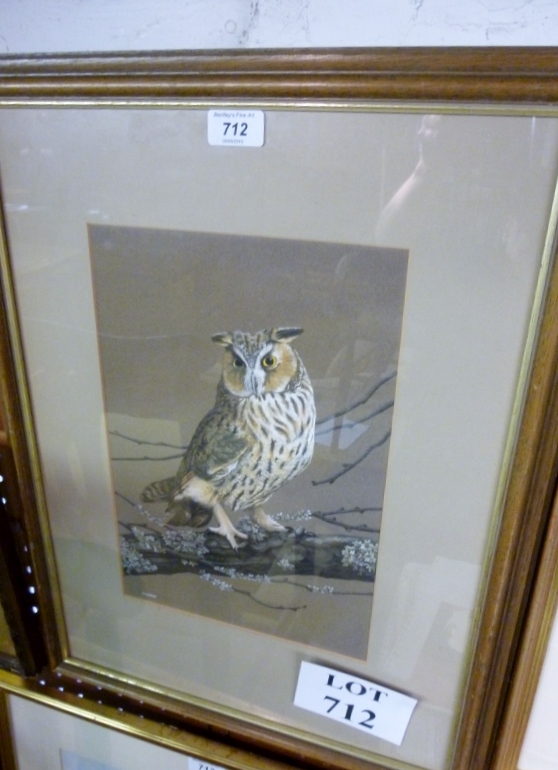 An oak framed and glazed watercolour study of an owl on a branch signed C A Sinden lower left est: