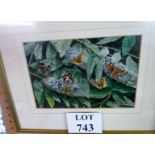 A framed and glazed watercolour study of butterflies signed T W Maybourne 1988 lower right est: