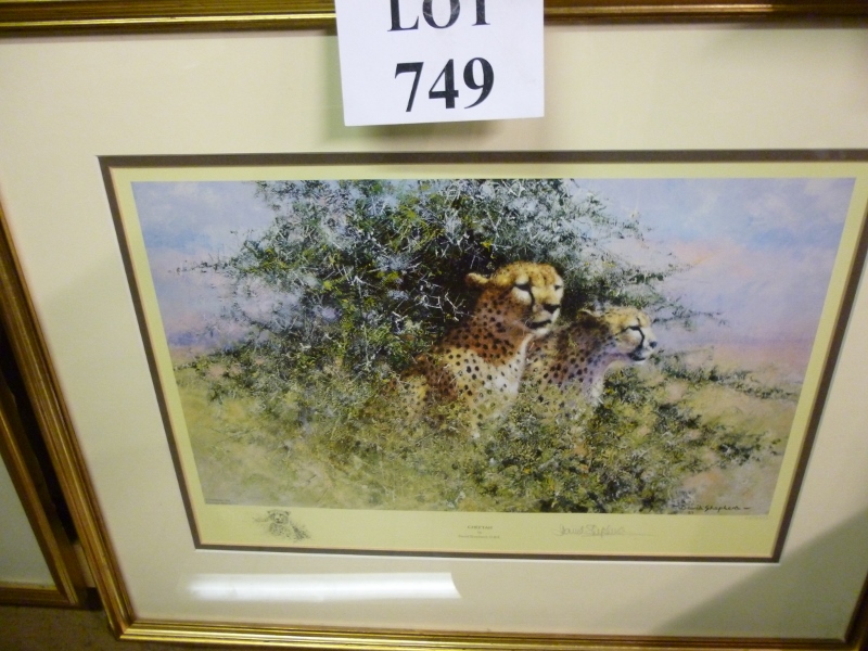 A framed and glazed David Shepherd print 'Cheetah' signed in pencil est: £50-£80