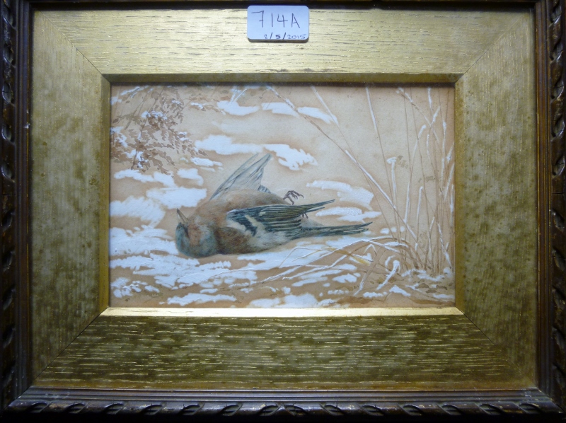 A framed and glazed watercolour study of a bird est: £30-£50