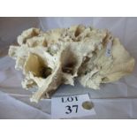 A large natural coral specimen est: £40-£60 (J)