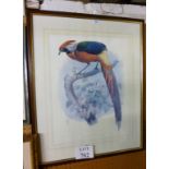 A framed and glazed lithograph depicting a 'Hybrid Pheasant' est: £20-£30