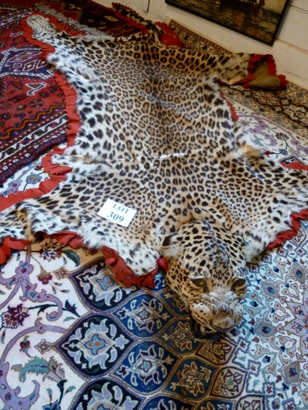 An early 20c leopard skin rug est: £500-£800