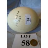 An Ostrich egg est: £20-£40 (N3)