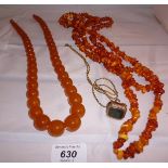 A blood stone seal on a chain and two amber necklaces est: £80-£120