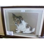 A framed and glazed pastel study of a Yorkshire Terrier signed lower right possibly Jack Smith est: