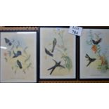 Three framed and glazed lithographs depicting birds amongst flowers and bearing their Latin names