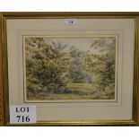 A framed and glazed watercolour country woodland path with rabbits and figure walking a dog in