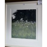 A framed and glazed limited edition Phil Greenwood print 'Meadow Clocks' (201/295) signed Greenwood