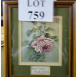 A small framed and glazed watercolour still life study of a rose,