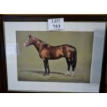 A framed and glazed ltd edition coloured print study of a horse 'Sadlers Webb - Northern Dancer -