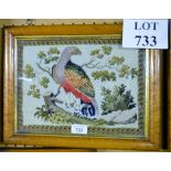 A maple framed and glazed woolwork embroidery of a bird in a tree 22cm x 31cm approx est: £50-£80