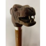 Walking cane with snarling Tiger head kn