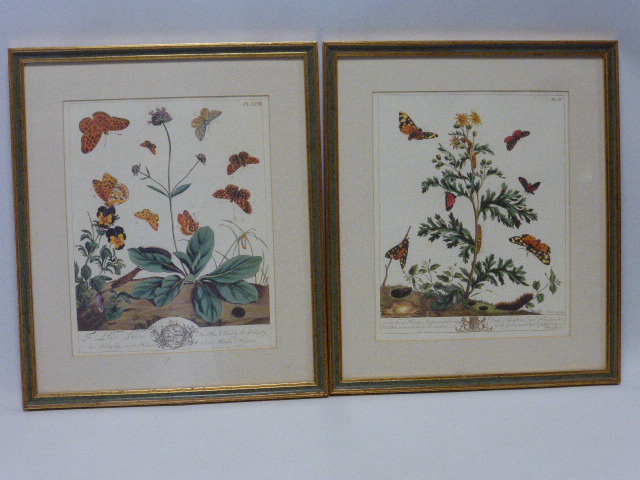 Set of six coloured prints showing assorted breeds of cattle, all in decorative mounts, - Image 5 of 5