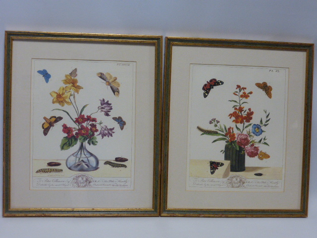 Set of six coloured prints showing assorted breeds of cattle, all in decorative mounts, - Image 4 of 5