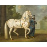 Johann Georg de Hamilton
(1672–1737)
Lipizzanerhengst mit Tigerschecken-Komplex, präsentiert von