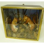 PAIR OF EARLY 20TH CENTURY RED SQUIRRELS modelled in a naturalistic setting, in painted display