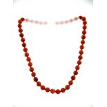 A UNIFORM ROW OF CARVED CORAL NECKLACE with gold coloured metal clasp, 72cm long
