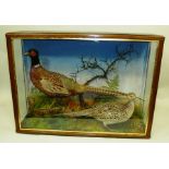 ATTRIBUTED TO JEFFRIES OF CARMARTHEN COCK AND HEN PHEASANTS modelled in a naturalistic setting