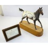 A ROYAL WORCESTER MODEL OF AN APPALOOSA STALLION, modelled by Doris Lindner, no. 511/750, on