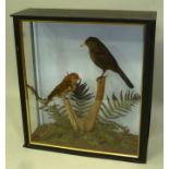 HEN BLACKBIRD AND A THRUSH modelled on a tree stump in naturalistic setting, in painted display