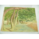 HUBERT ARTHUR FINNEY (1905-1991) "Study of Trees, Wokingham", Watercolour, signed and inscribed