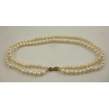 A DOUBLE ROW OF UNIFORM FRESHWATER PEARLS with gilt metal bow clasp, 40cm long