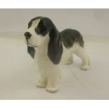 ROYAL WORCESTER MODELLED BY DORIS LINDNERA BONE CHINA MODEL OF A SPANIEL, black and white colouring,