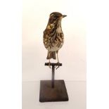 RED WING modelled open mounted on a perch and square plinth base, inscribed in pencil to