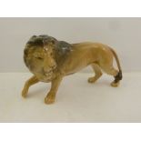 A BESWICK EARTHENWARE MODEL OF A SNARLING RAMBLING LION, 18cm high