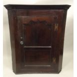 AN EARLY 19TH CENTURY OAK HANGING CORNER CUPBOARD, having moulded pediment double panel door and