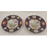 A PAIR OF EARLY TO MID 19TH CENTURY MASONS IRONSTONE PLATES with cobalt blue rims, hand painted