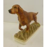 ROYAL WORCESTER MODELLED BY DORIS LINDNERA BONE CHINA MODEL OF A RED SETTER, strolling, in matt