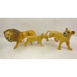 A SERIES OF THREE BESWICK EARTHENWARE MODELS OF A LION FAMILY, lion, lionness and cub, model nos.