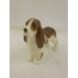 ROYAL WORCESTER MODELLED BY DORIS LINDNER A BONE CHINA MODEL OF A SPANIEL