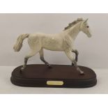 A BESWICK EARTHENWARE MODEL OF A DAPPLE GREY STALLION, cantering, mounted on a mahogany stained