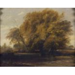 Framed, unsigned, oil on canvas, late 19th Century, English School, rural river landscape with