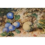 W. B. H. Framed, signed with initials, watercolour on paper, still life showing plums and apples