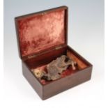 A late 19th Century mummified cat, housed in a velvet lined mahogany box, cat length approx. 25cm,