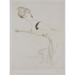 Circle of PAUL CÉSAR HELLEU (1859 - 1927) Framed, signed in pencil to margin, drypoint etching on
